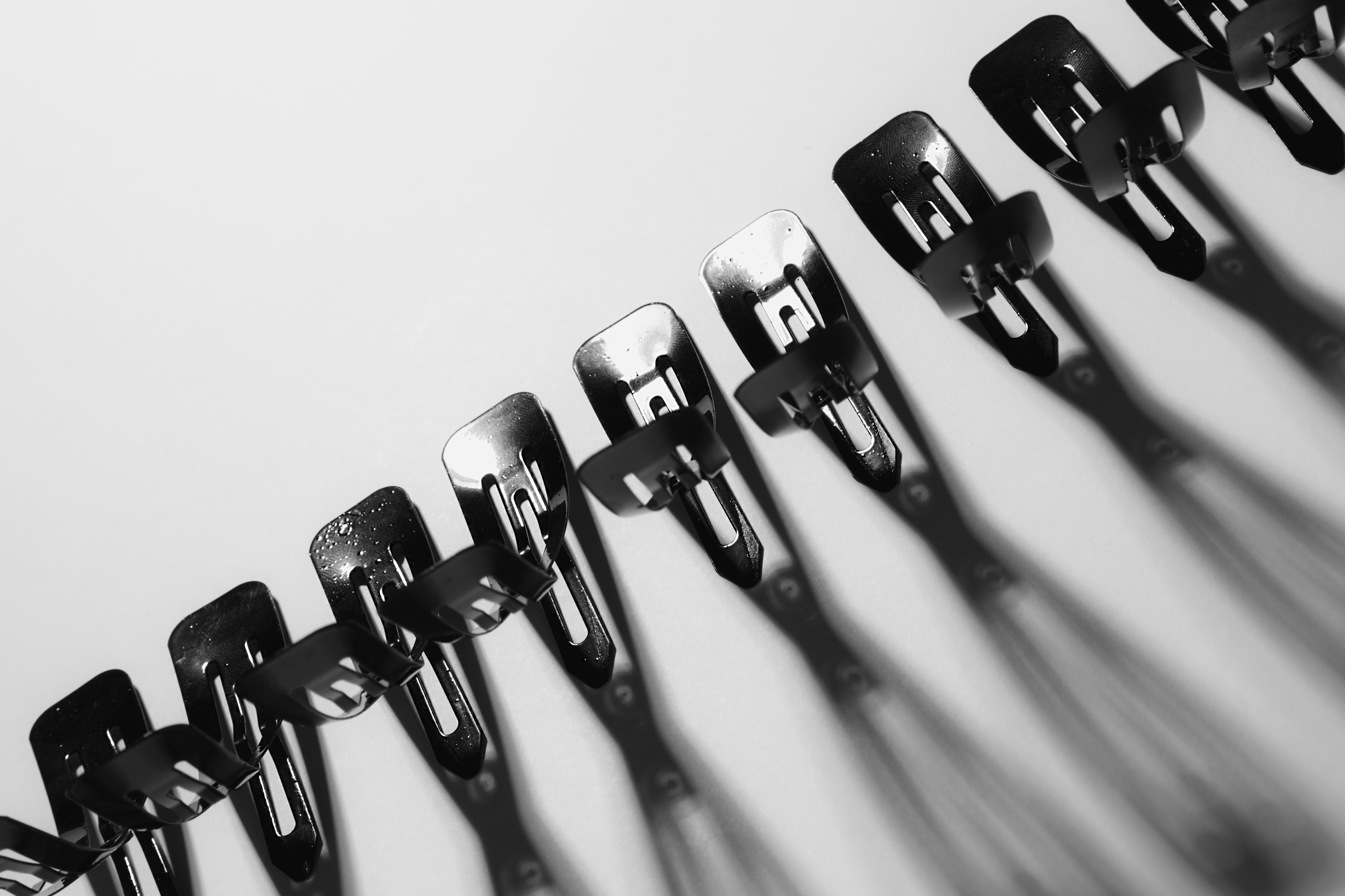 A Book of Snap Clips